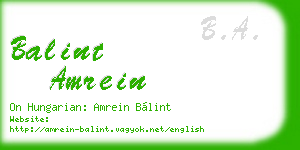 balint amrein business card